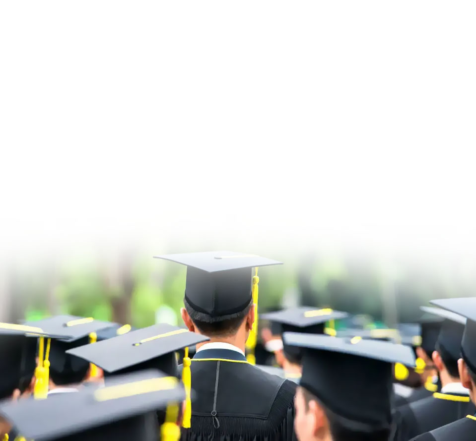 ���ֹ���F66��(�й���)�ٷ���վ