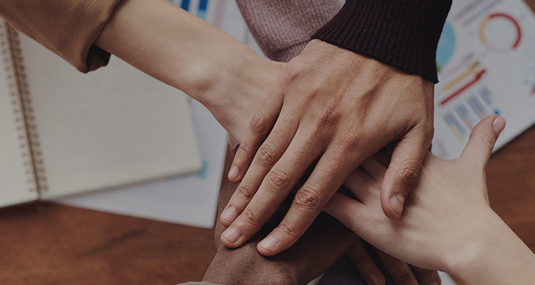 ���ֹ���F66��(�й���)�ٷ���վ